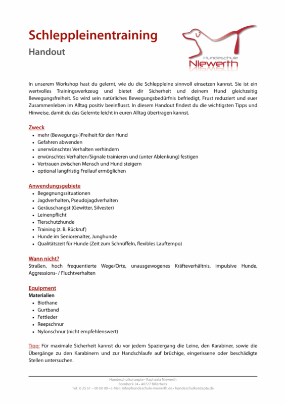 Handout zum Schleppleinentraining