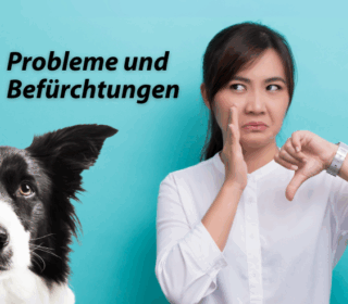 probleme-und-befuerchtungen