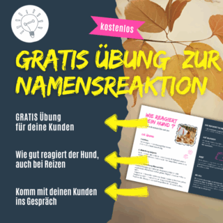 Shop_Gratis Übung Namensreaktion