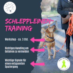 Shop_Schleppleinentraining