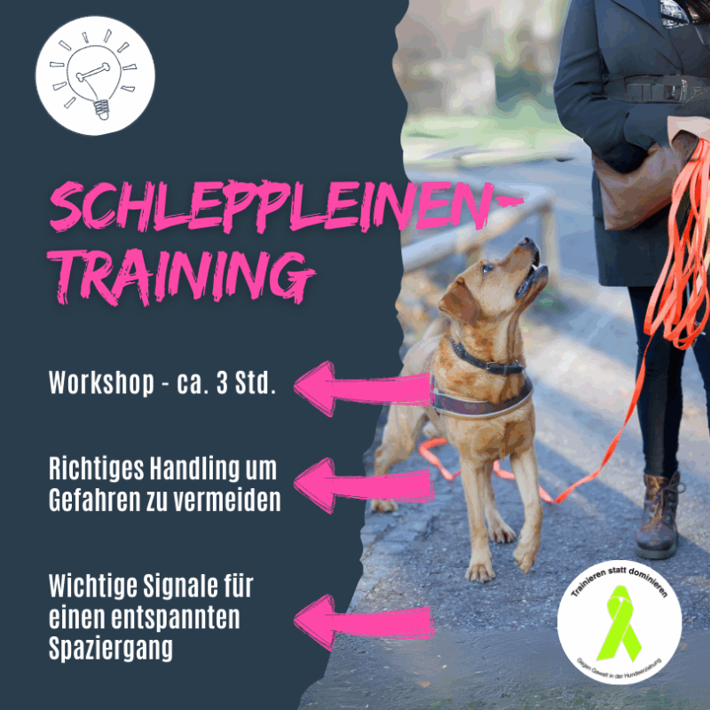 Der richtige Umgang mit der Schleppleine inkl. wichtiger Signale