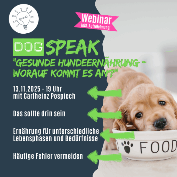 Gesunde Hundeernährung- darauf kommt es an!