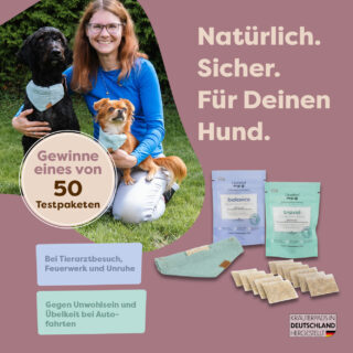 facebook-post_hundekonzept_1a