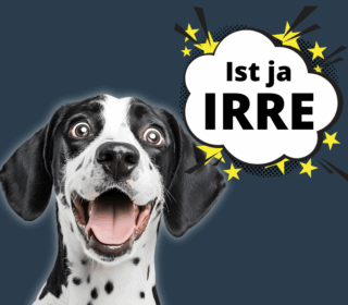 ist-ja-irre