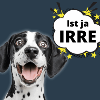 Ist ja irre