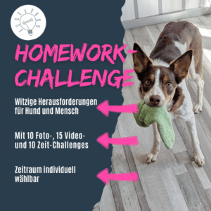 Witzige Herausforderungen für Mensch und Hund