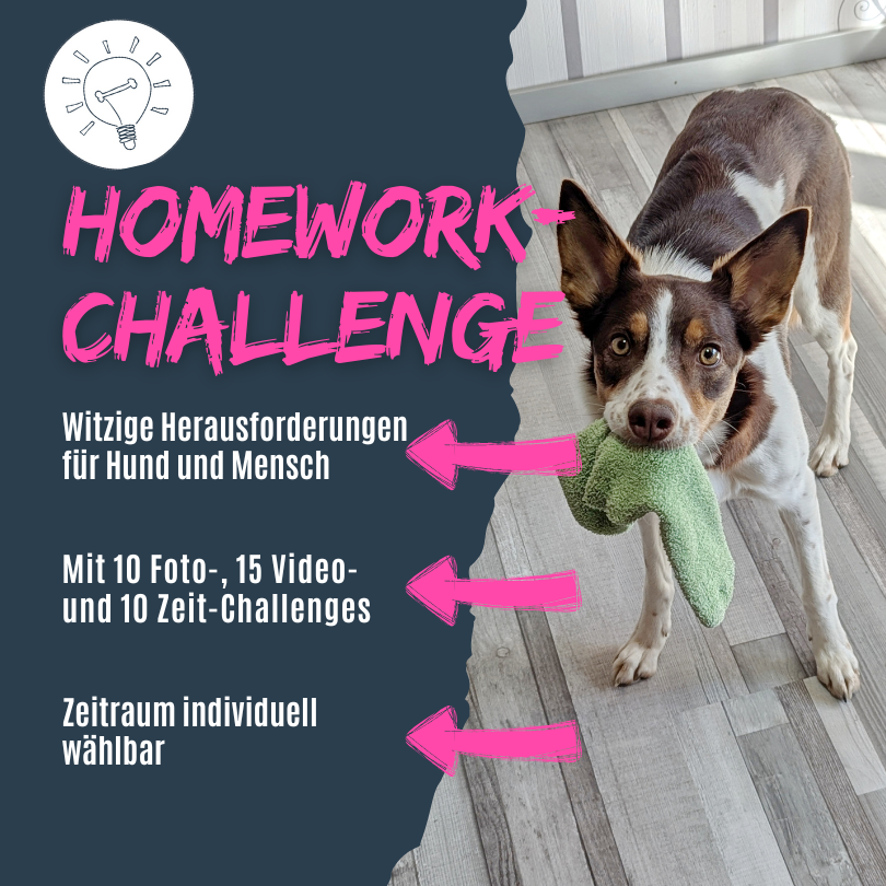 Witzige Herausforderungen für Mensch und Hund