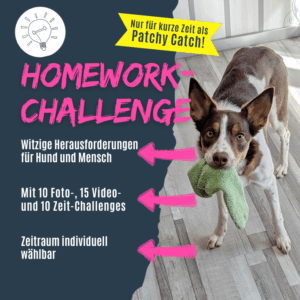 Homework-Challenge [Digital]