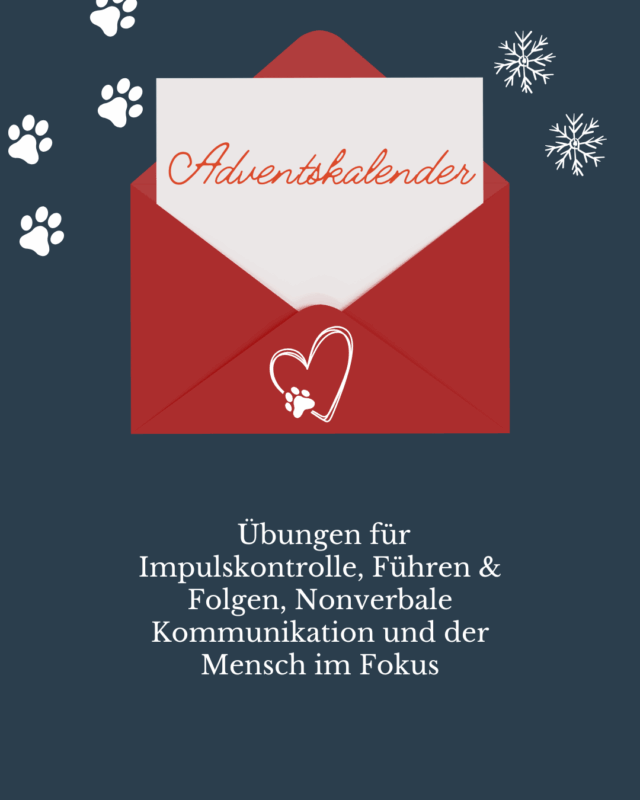 Adventskalender für Hundetrainer