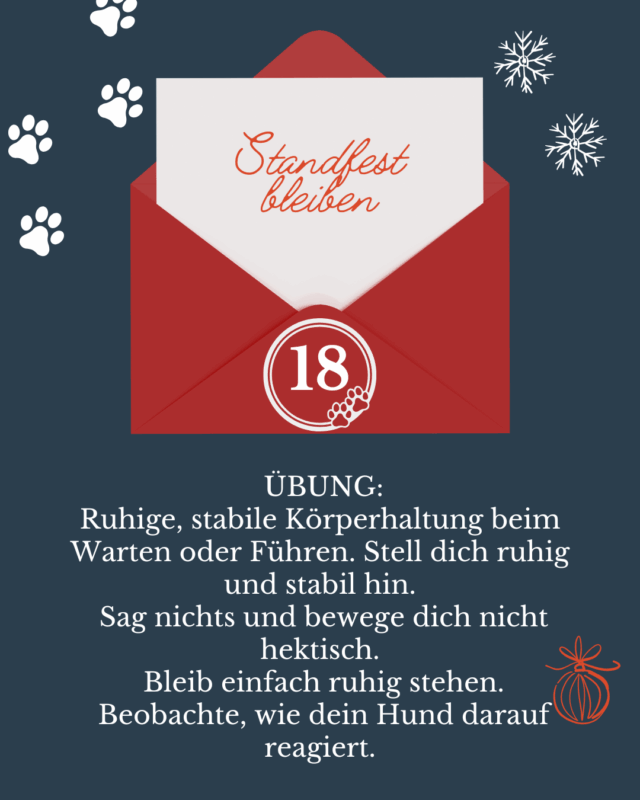 Adventskalender für Hundetrainer