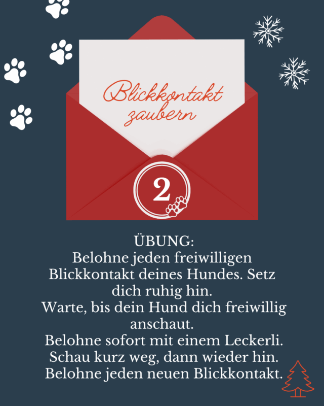 Adventskalender für Hundetrainer