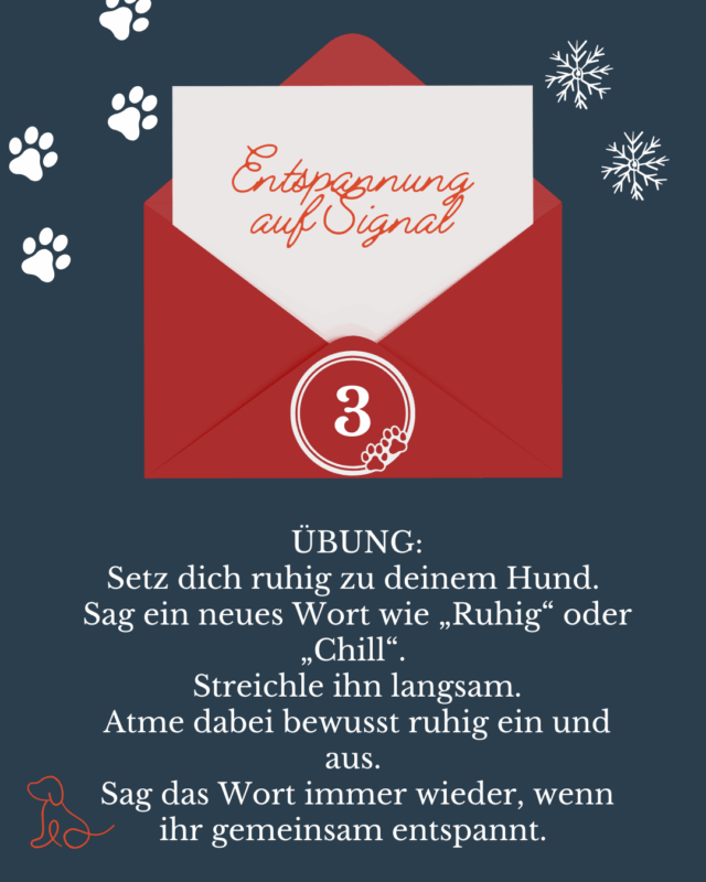 Adventskalender für Hundetrainer