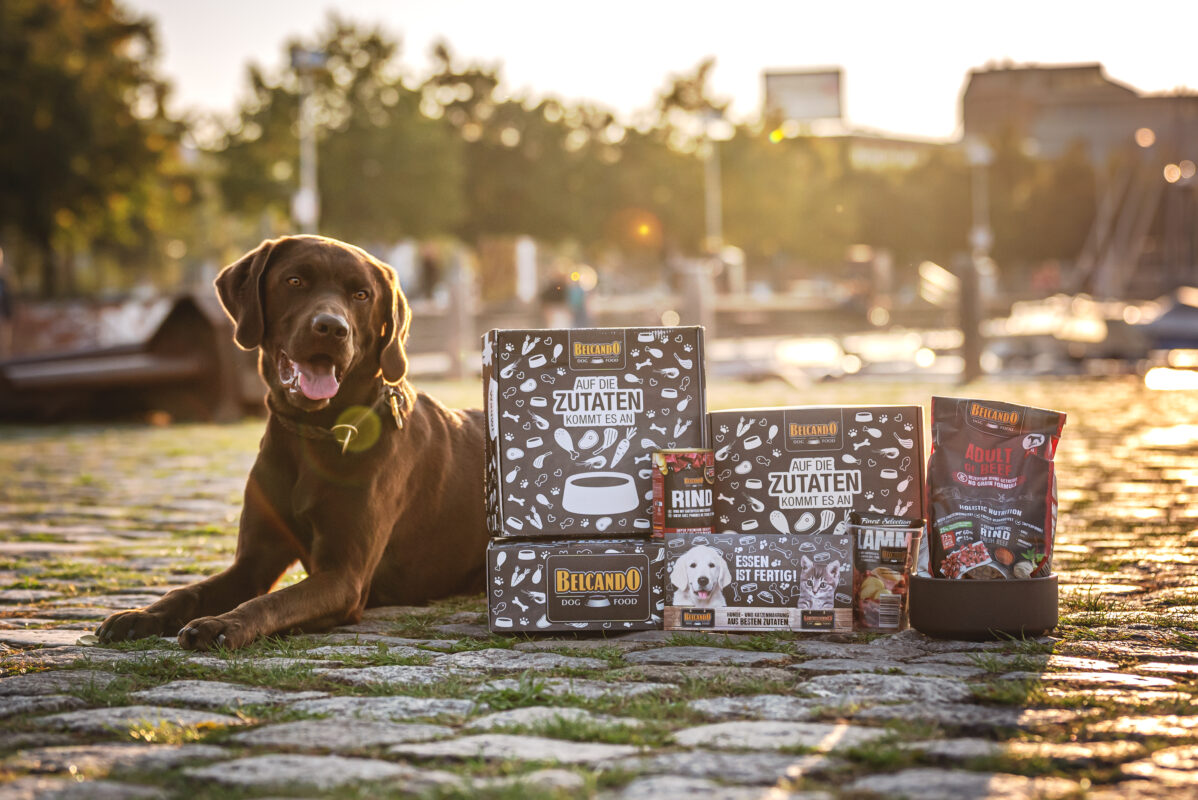 Gratis Überraschungs-Probierpaket für Hundetrainer von BELCANDO