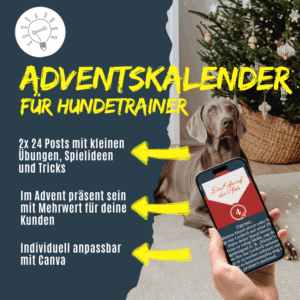 Adventskalender für Hundetrainer