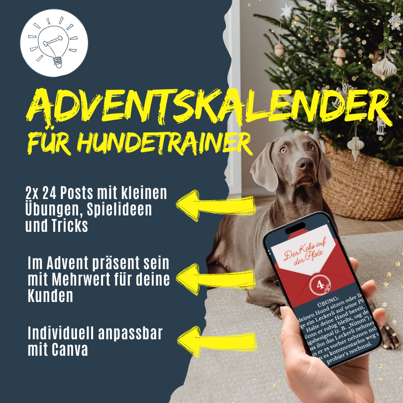 Adventskalender für Hundetrainer