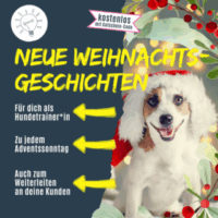 Shop_NEUE_Weihnachtsgeschichten