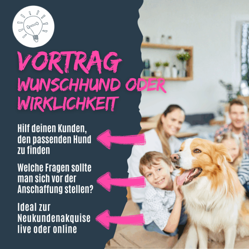 wie findet man den passenden Hund?