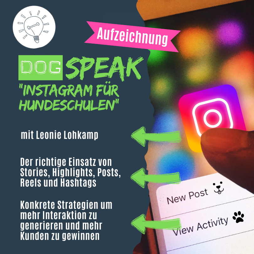 Instagram für Hundetrainer