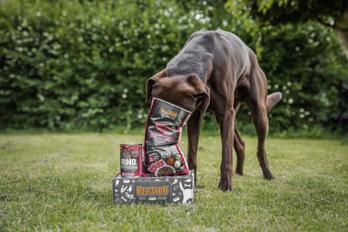 Das ist im Gratis Überraschungs-Probierpaket für Hundetrainer von BELCANDO enthalten.