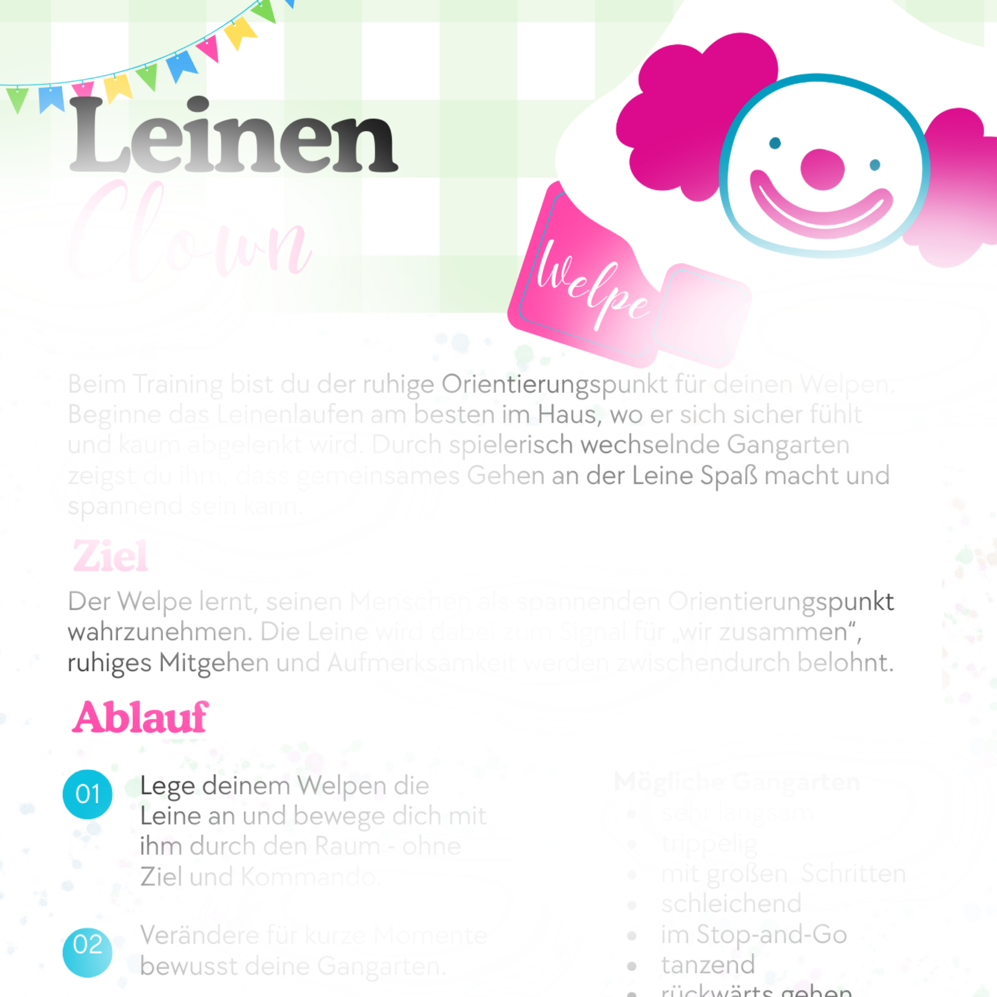 Wie bringt man einem Hund Leinenführigkeit bei?