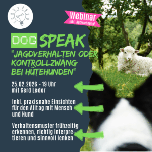 DogSPEAK-Webinar "Jagdverhalten oder Kontrollzwang bei Hütehunden" [Digital]
