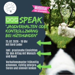 DogSPEAK-Webinar "Jagdverhalten oder Kontrollzwang bei Hütehunden" [Digital]