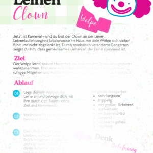 Wie bringt man einem Hund Leinenführigkeit bei?