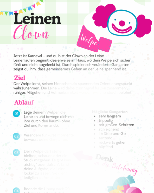 Wie bringt man einem Hund Leinenführigkeit bei?