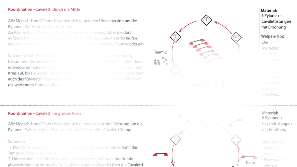 Trainingsideen mit Cavaletti