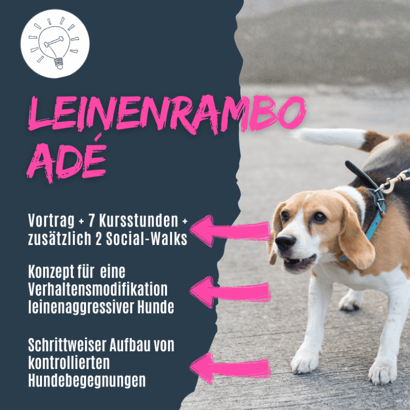 Leinenaggression bei Hunden verändern