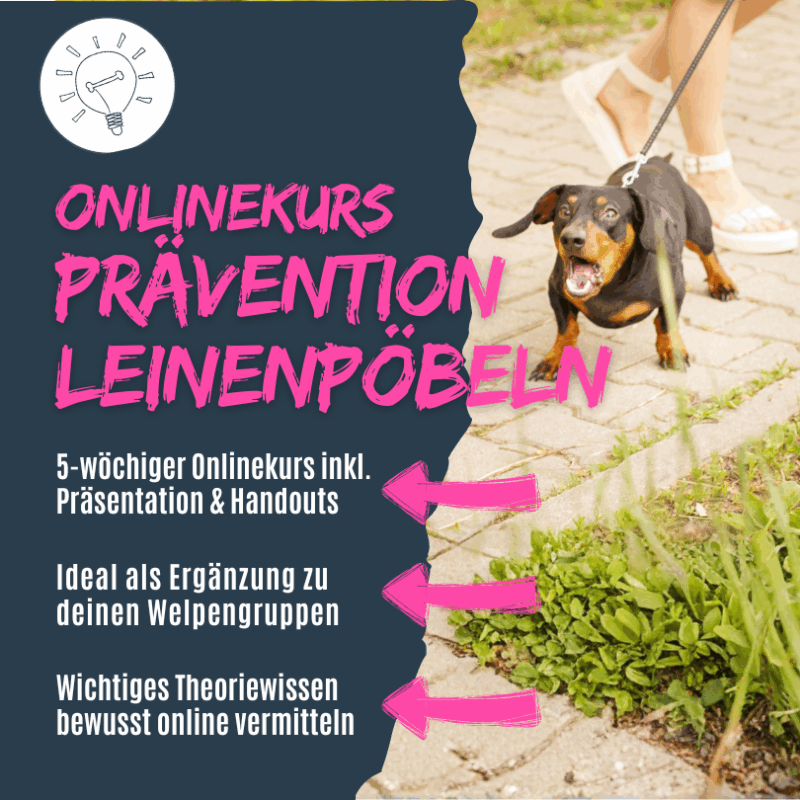 Leinenpöbelei vermeiden