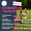 Trainingsideen Cavaletti Hund