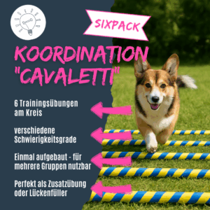 Trainingsideen Cavaletti Hund