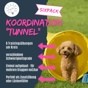 Trainingsideen mit Tunnel für Hunde