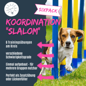 Slalomübungen mit Hund