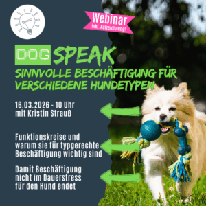 Welche Beschäftigung ist für welchen Hundetyp sinnvoll?
