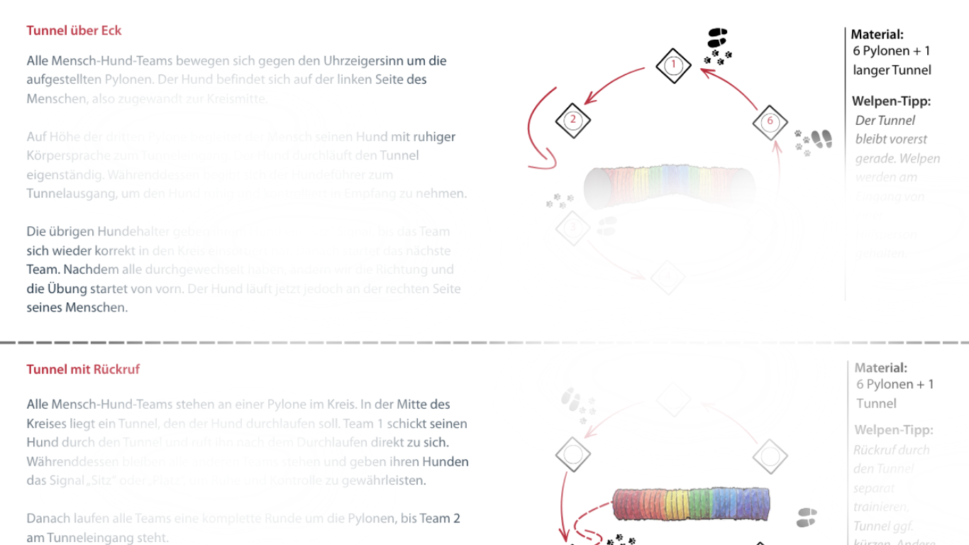 Tunnelübungen für Hunde