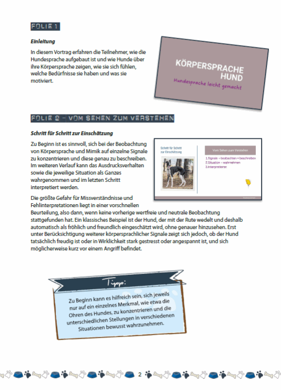 Körpersprache von Hunden verstehen