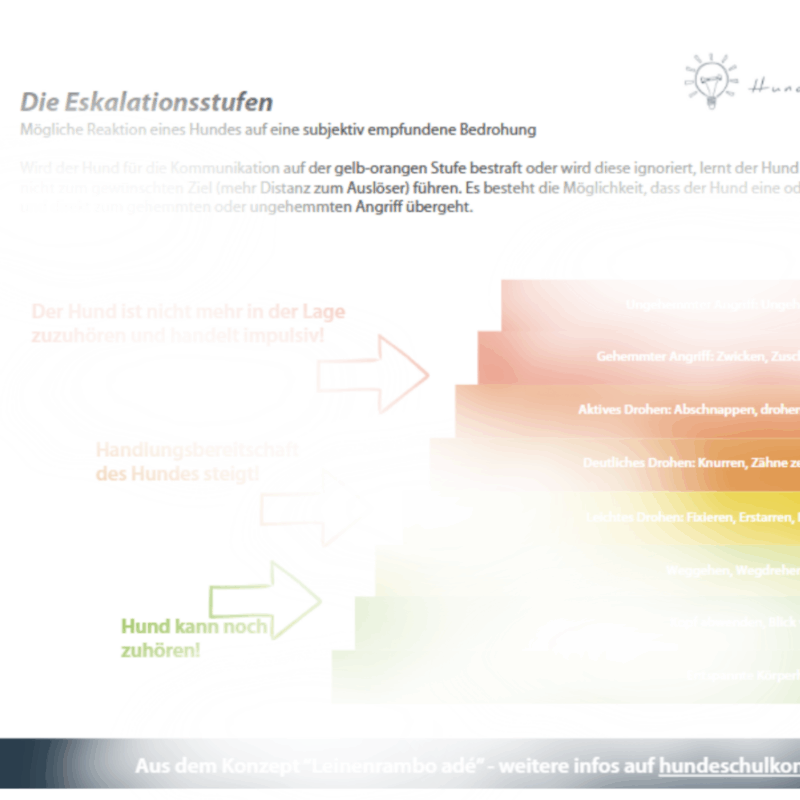 Eskalationsstufen Hunde