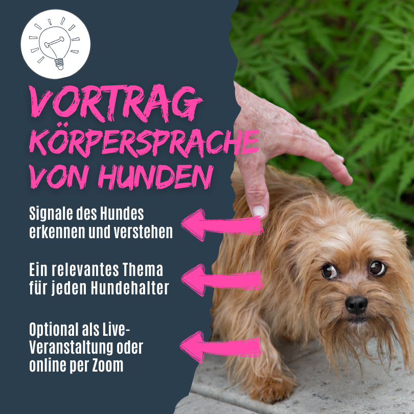 Körpersprache Hunde lesen