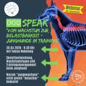 Junghunde richtig trainieren