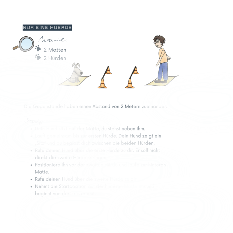 Schnuppertraining Hundeschule