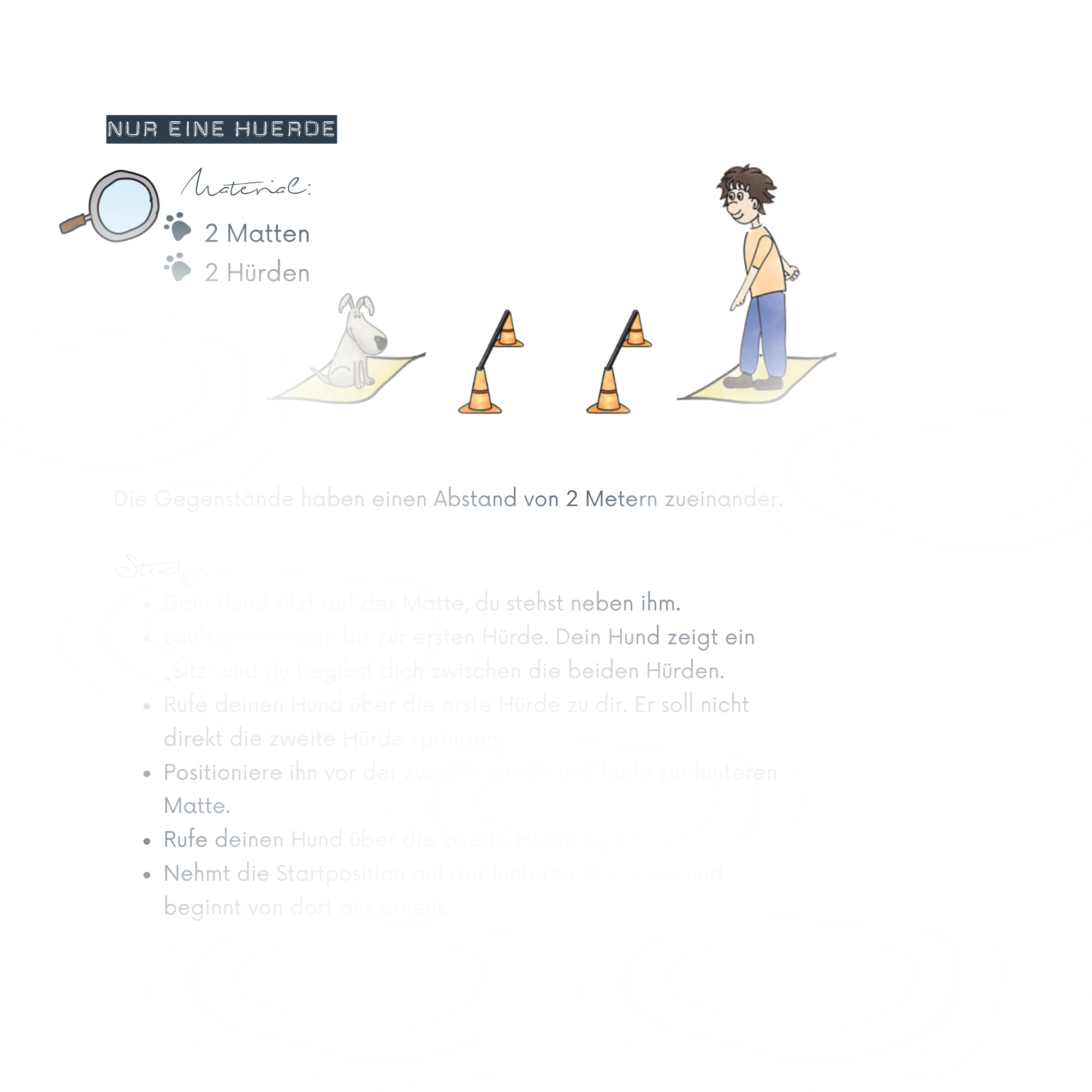 Schnuppertraining Hundeschule