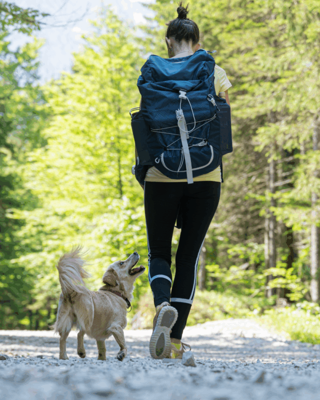 Hund ohne Leine laufen lassen