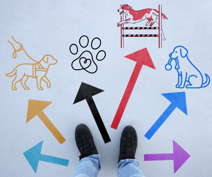 Möglichkeiten in der Hundeschule