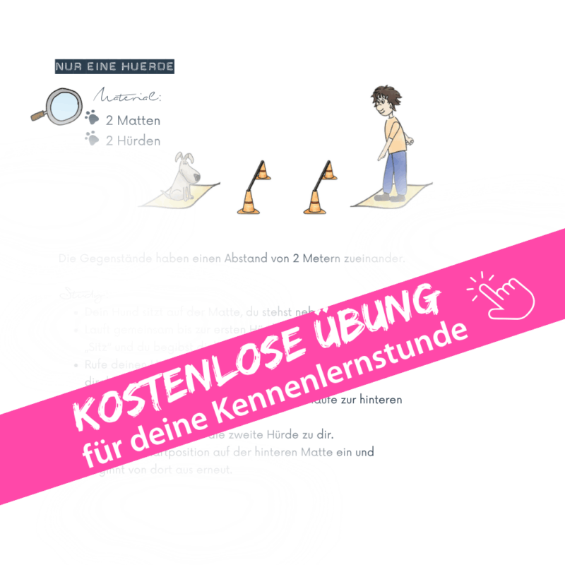 Kostenlose Übung für Hundetrainer