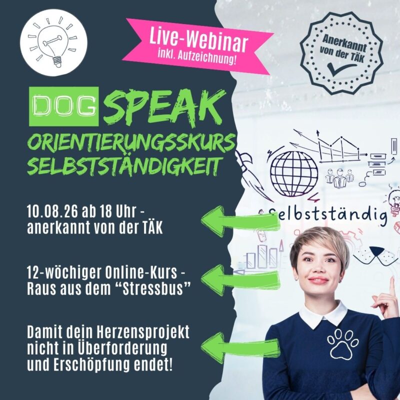 Selbstständig als Hundetrainer