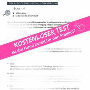 Kostenlose Test: Hund ohne Leine laufen lassen