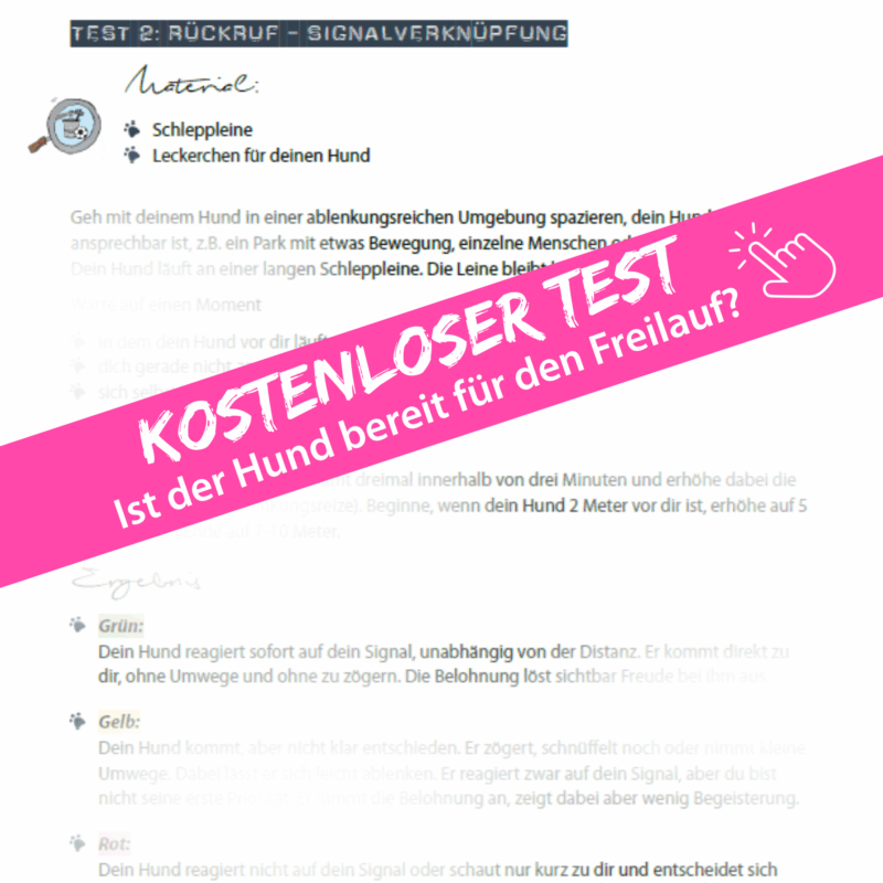 Kostenlose Test: Hund ohne Leine laufen lassen