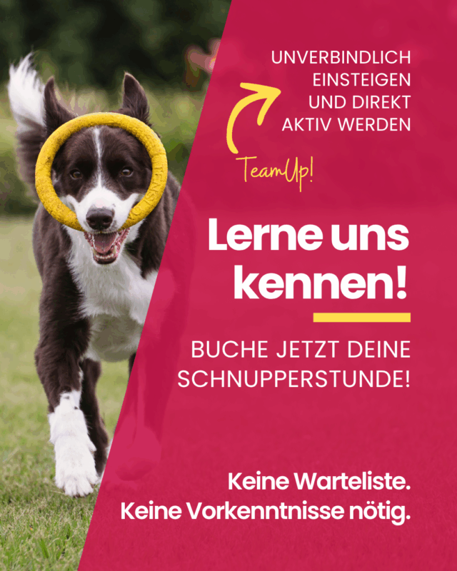 Hundeschule kennenlernen